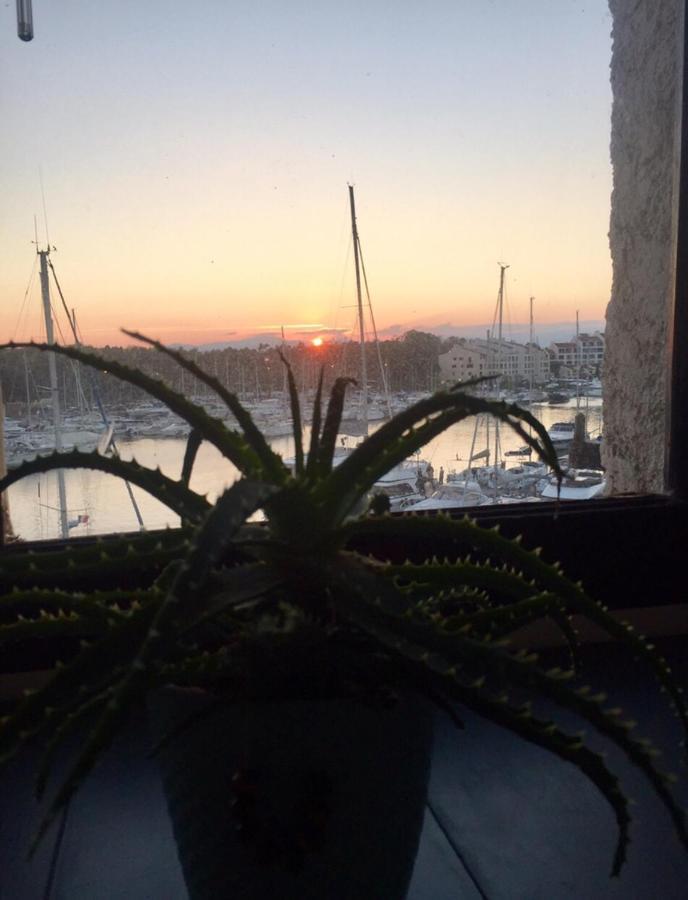 Petit Cocon Magnifique Vue Sur Marina Dans Le Golfe De Saint Tropez Apartment Cogolin Ngoại thất bức ảnh