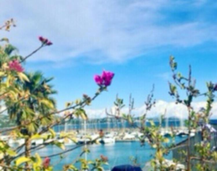 Petit Cocon Magnifique Vue Sur Marina Dans Le Golfe De Saint Tropez Apartment Cogolin Ngoại thất bức ảnh