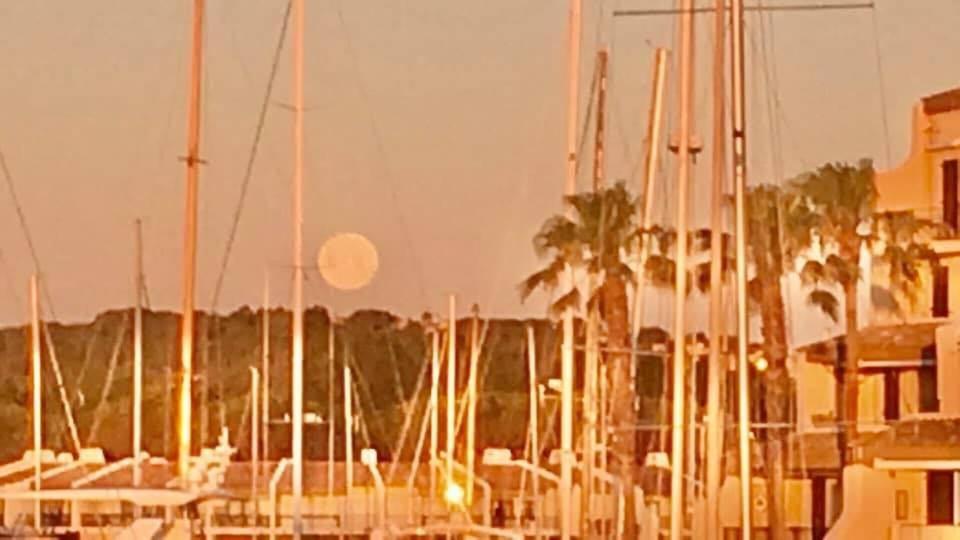 Petit Cocon Magnifique Vue Sur Marina Dans Le Golfe De Saint Tropez Apartment Cogolin Ngoại thất bức ảnh